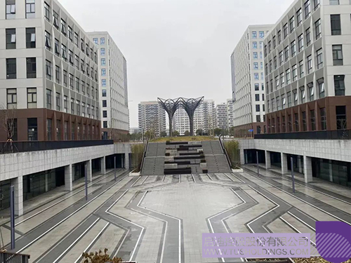 1611894108906757.jpg 640 拷贝.jpg