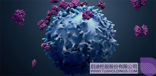 1620971008239445.png 2 拷贝.png